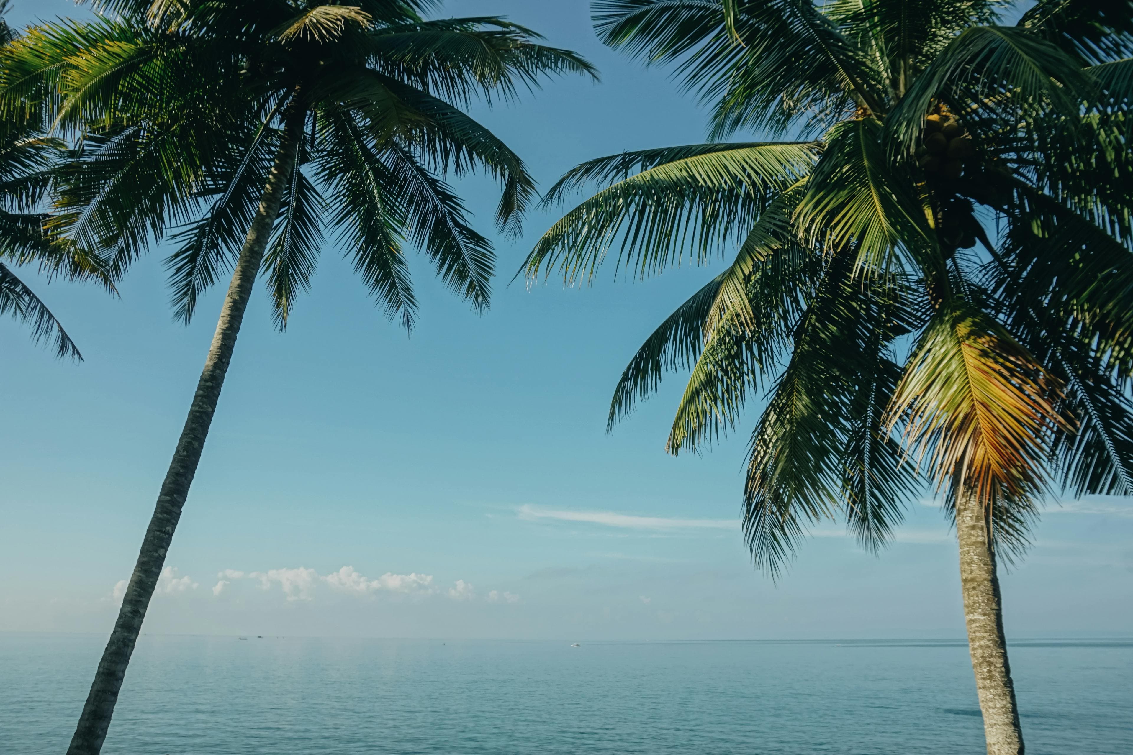 Best Bali Tour Packages for Unforgettable Holidays Best Bali Tour Packages for Unforgettable Holidays