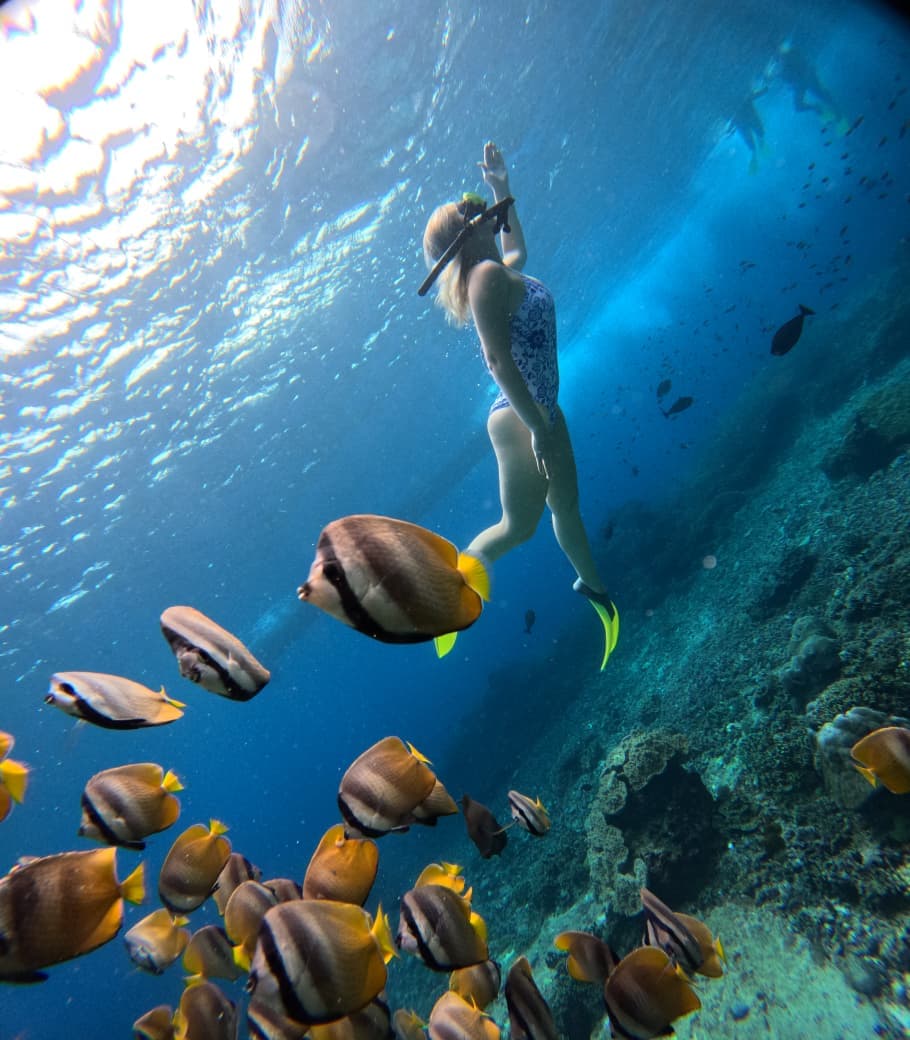 Nusa Penida Special Package: West Tour & Snorkeling Adventure Nusa Penida Special Package: West Tour & Snorkeling Adventure