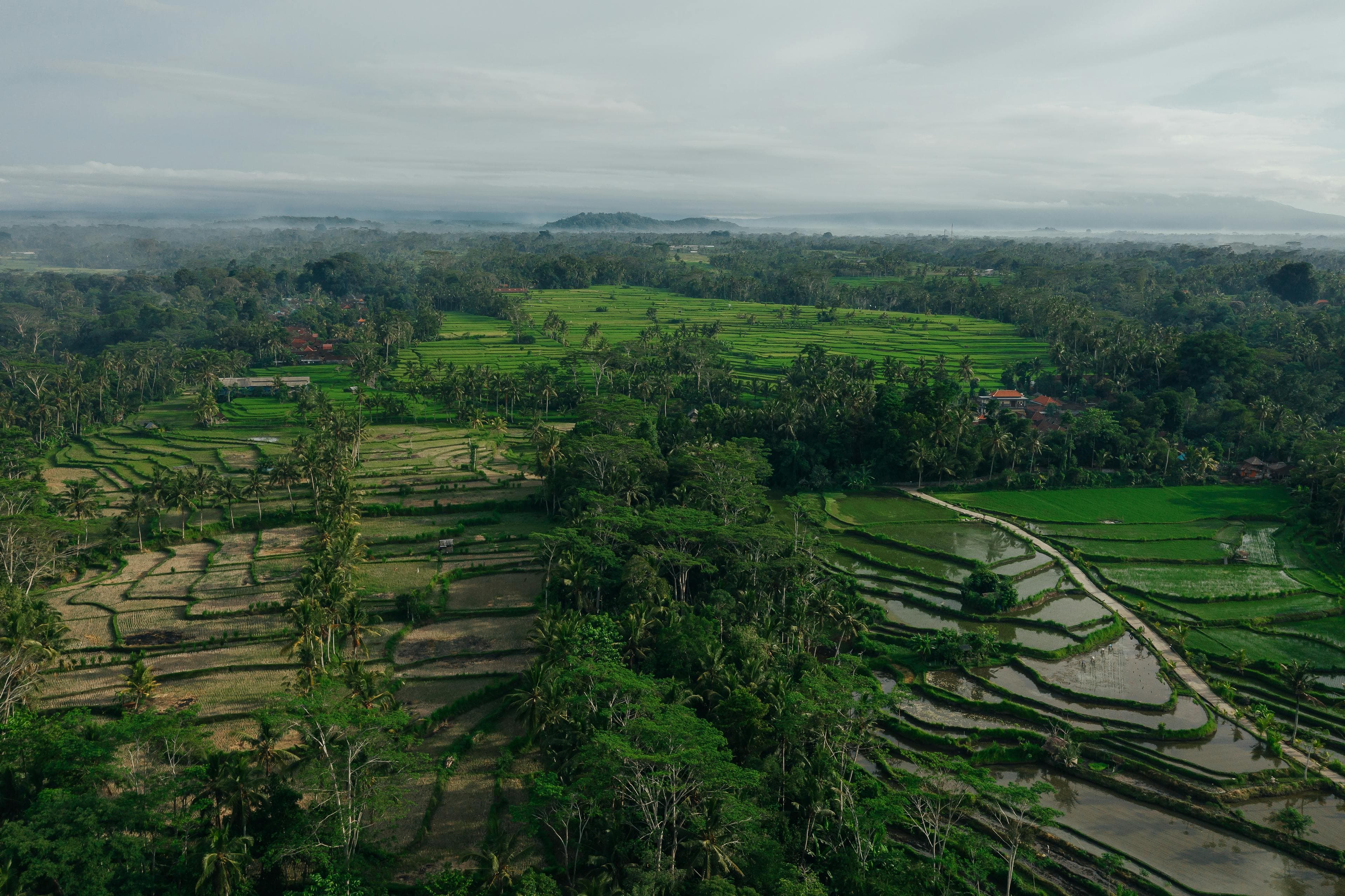 Bali Helicopter Tour Full Island Scenic Flight, Aerial View Of Mount Agung Coastline Temples And Rice Terraces Bali Helicopter Tour Full Island Scenic Flight, Aerial View Of Mount Agung Coastline Temples And Rice Terraces