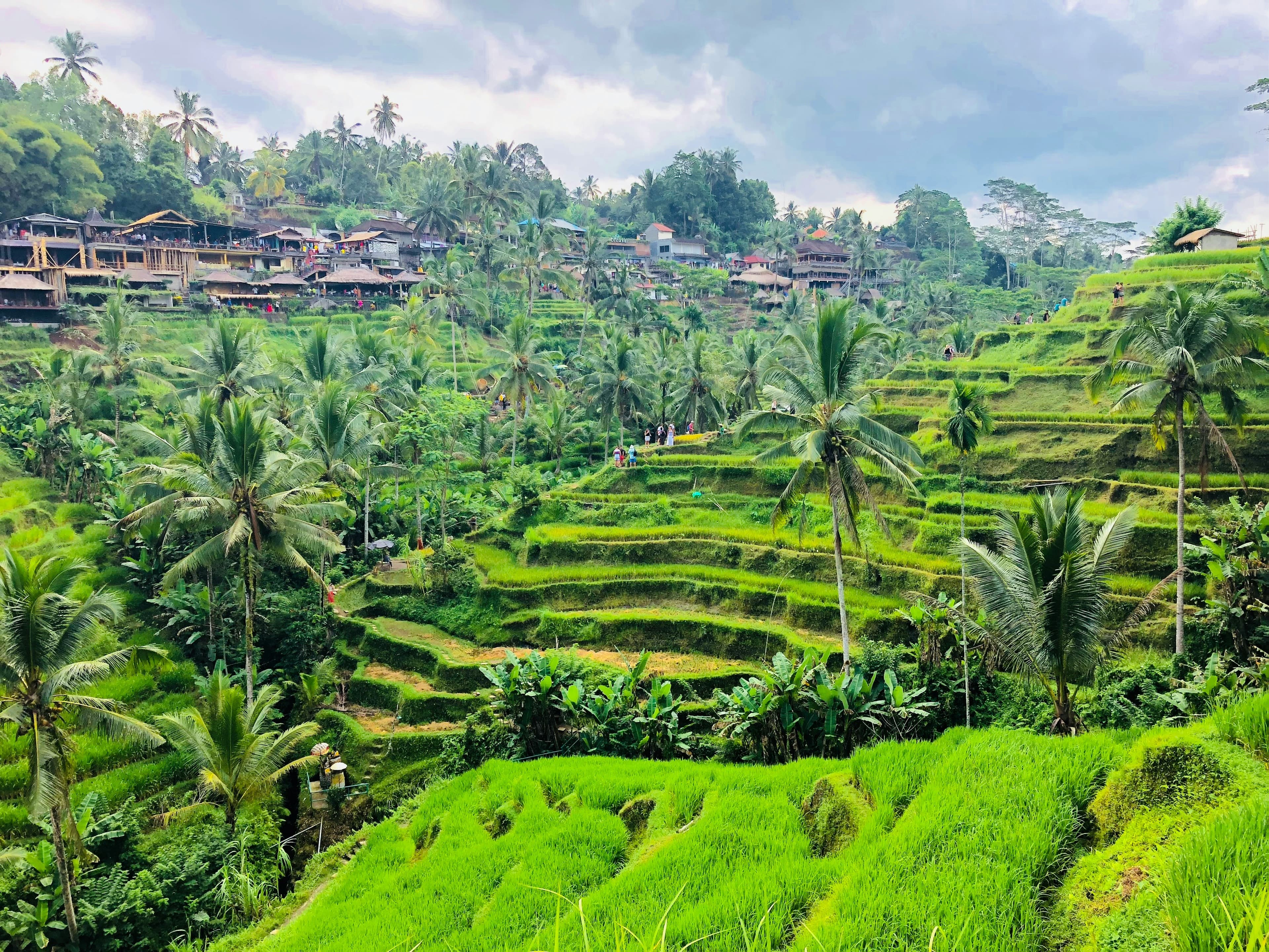 Ubud
