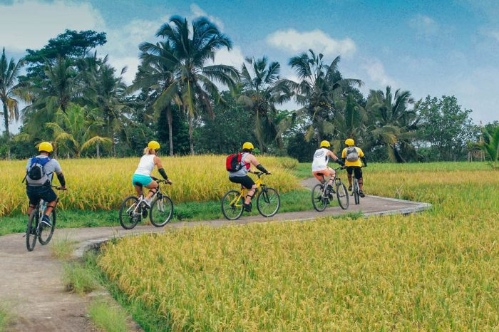 Kintamani Cycling Tour